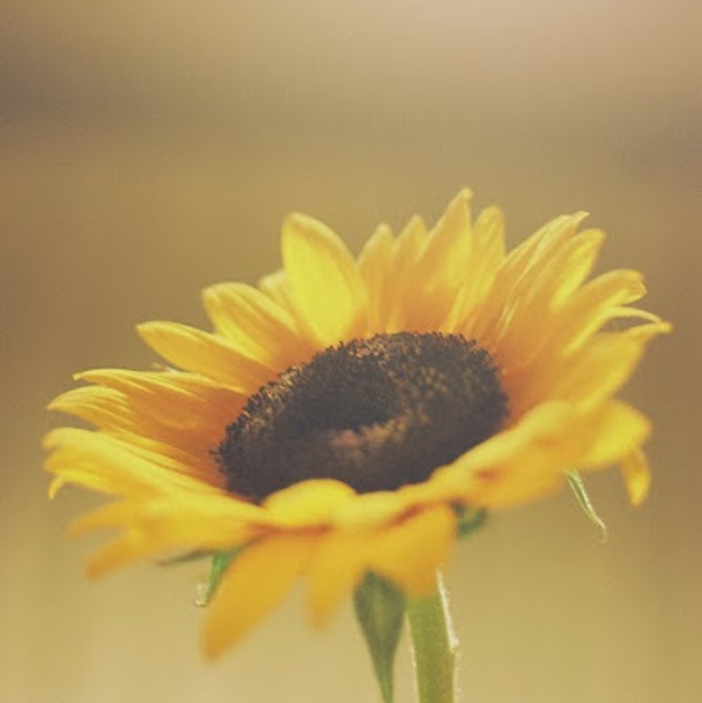 Meet your Posher, Margaux